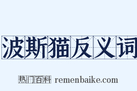 波斯猫反义词是什么意思的图片